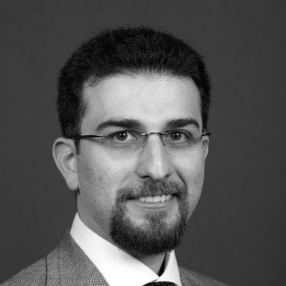 Seyed Emadeddin Tabatabaei